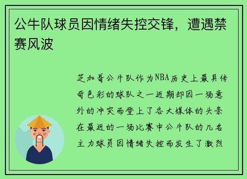 公牛队球员因情绪失控交锋，遭遇禁赛风波